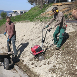 Bodenvorbereitung für die Staudenmischbepflanzung