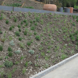 Fortsetzung folgt gegen Ende Mai