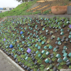 viele bunte Töpfchen