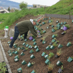 Projektleitung in Action