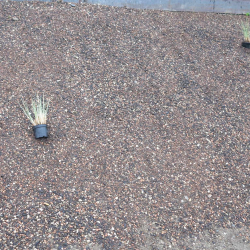 in the very beginning - oder aller Anfang ist schwer...