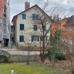 Winterbaumschnitt im Februar 2023