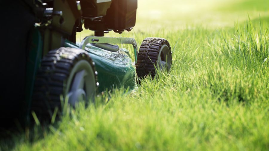 Bont Gartenbau Rasenpflege