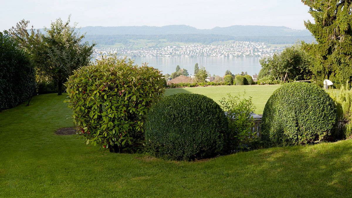 Bont Gartenbau – Gartenpflege
