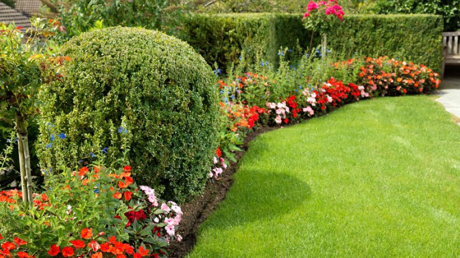 Bont Gartenbau Bepflanzung