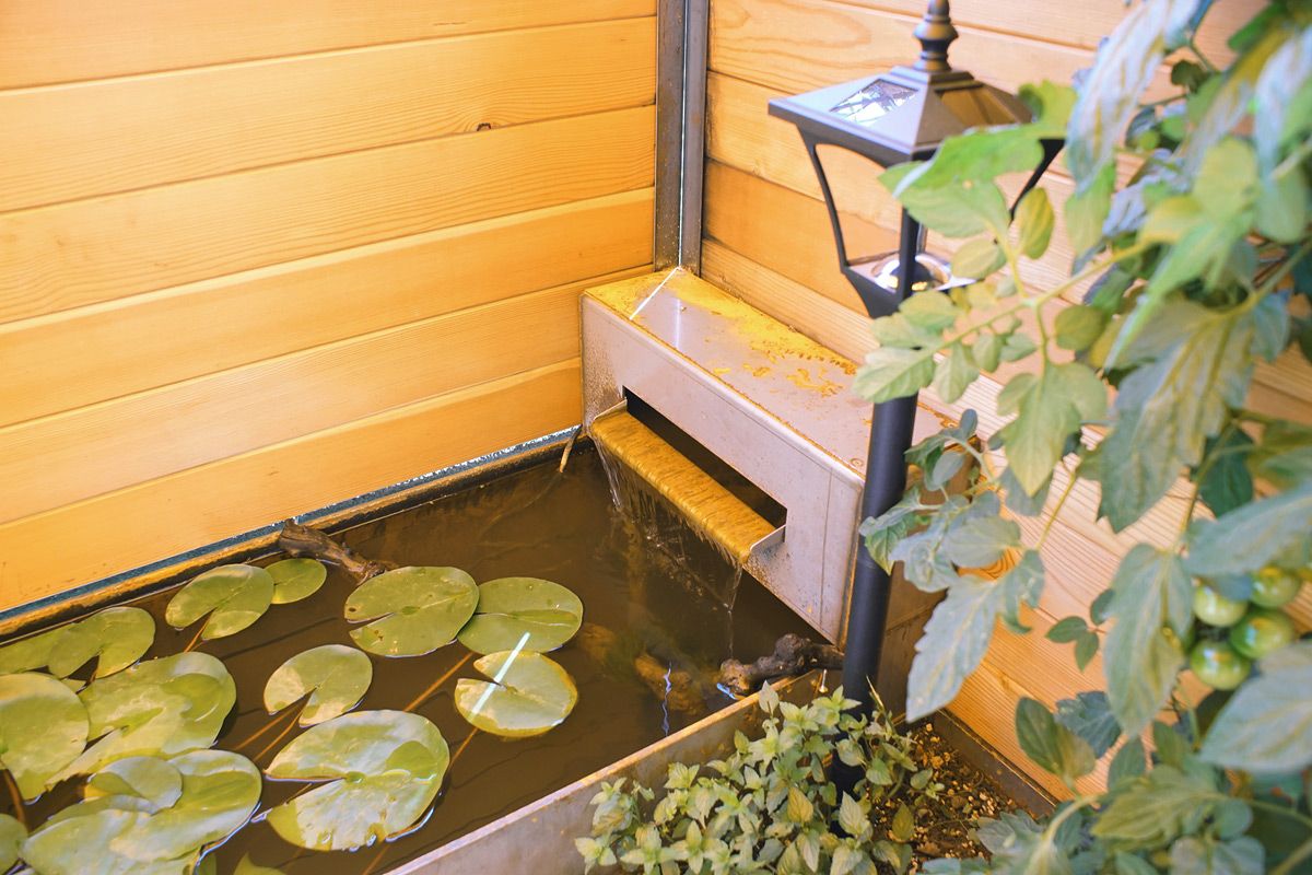 Sichtschutz mit Brunnen