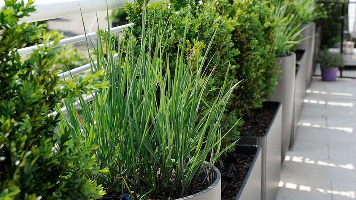 Bont Gartenbau – Bewässerung