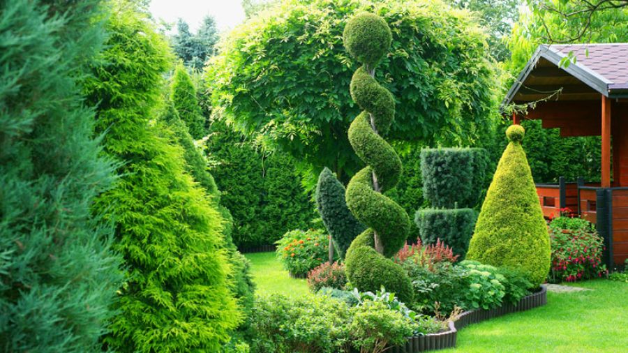 Bont Gartenbau Bäume und Sträucher